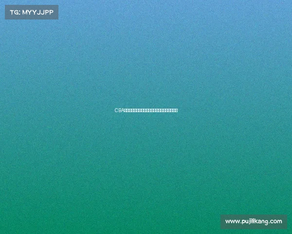 CBA球员生日大盘点:每月生日球员及其精彩瞬间回顾